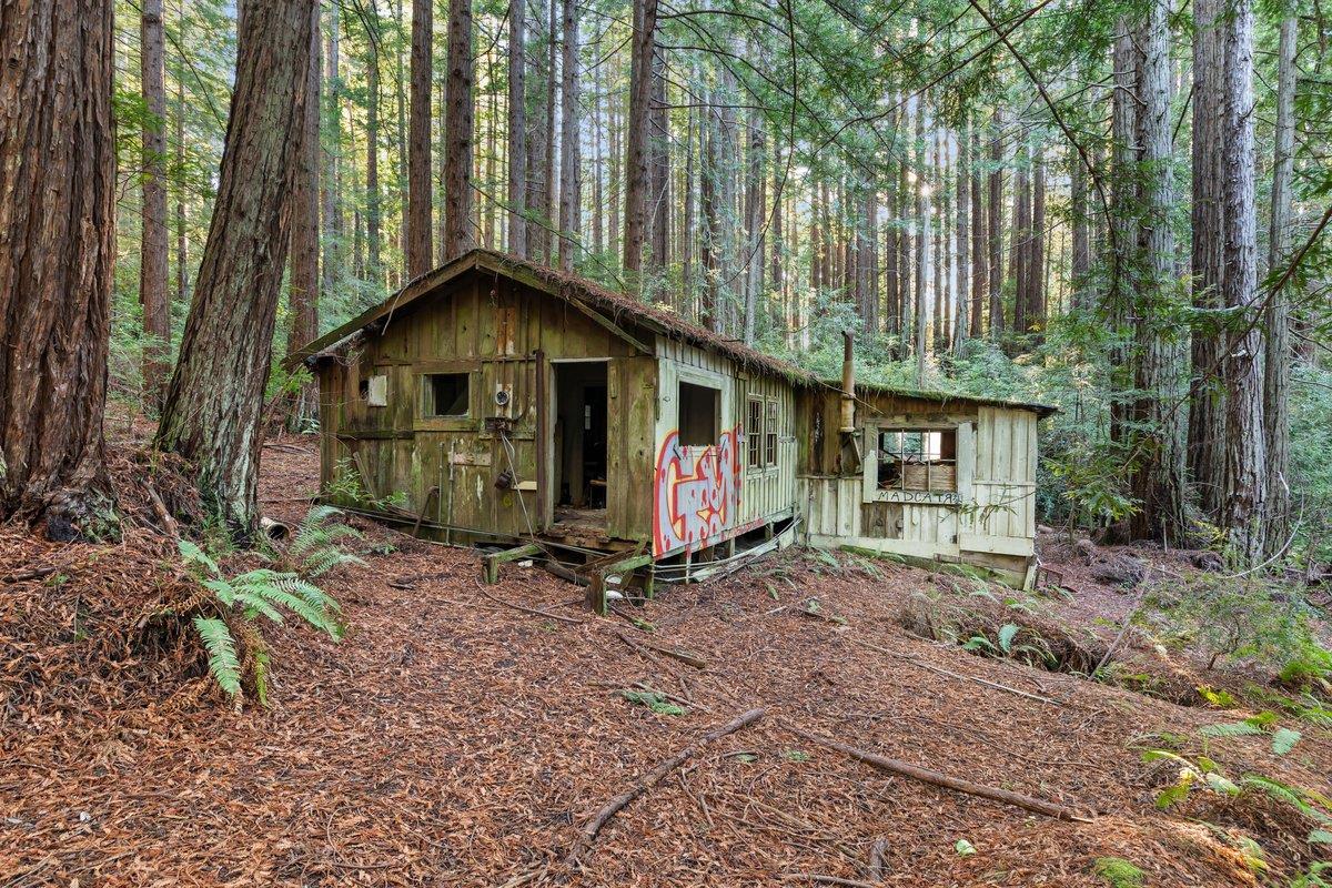 3936 Tunitas Creek Road