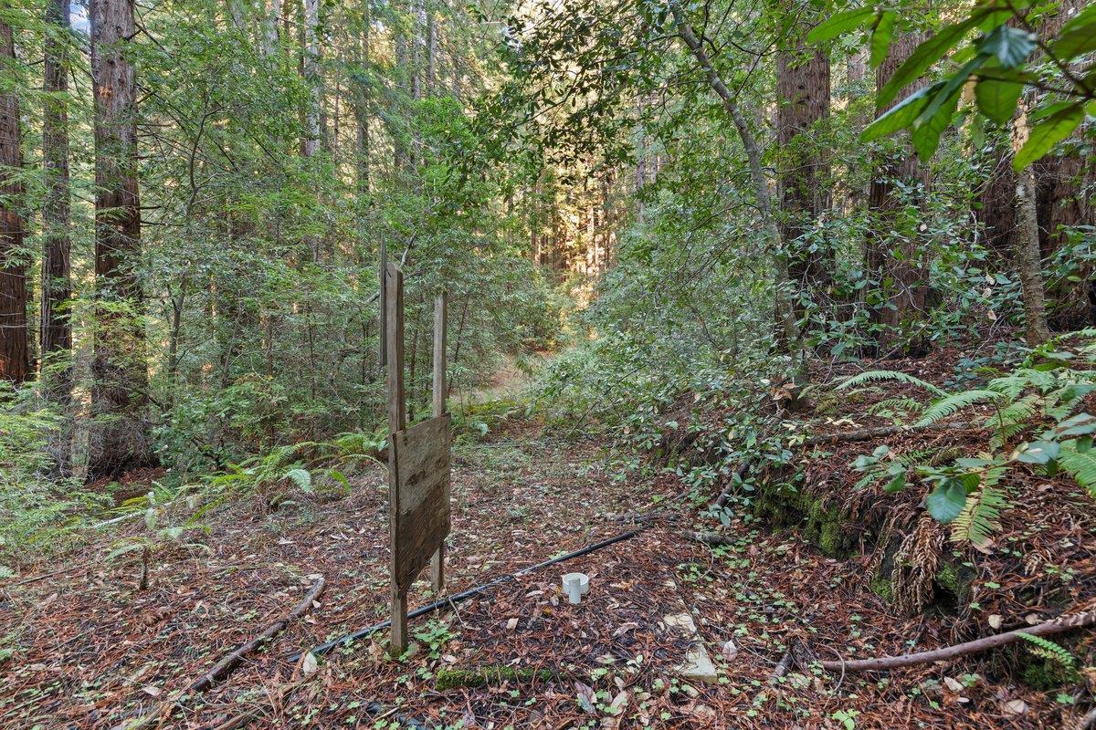 3936 Tunitas Creek Road