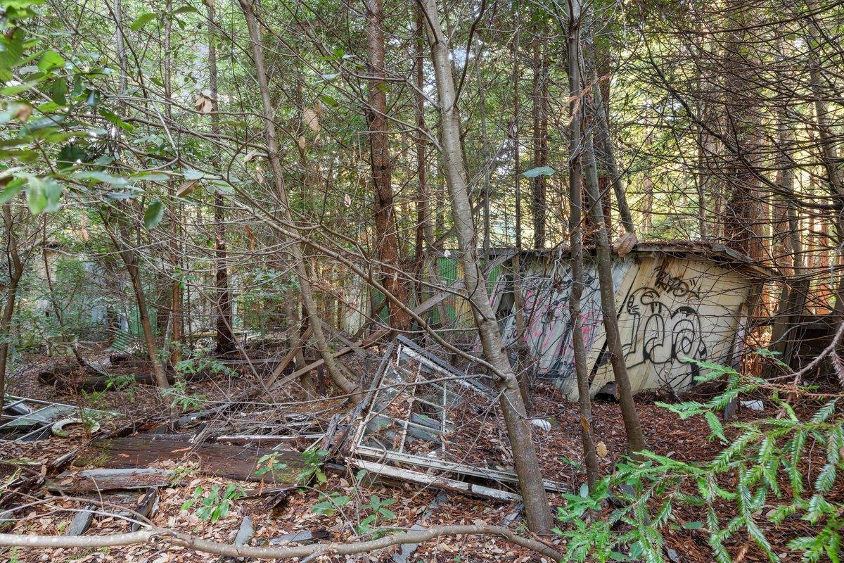 3936 Tunitas Creek Road