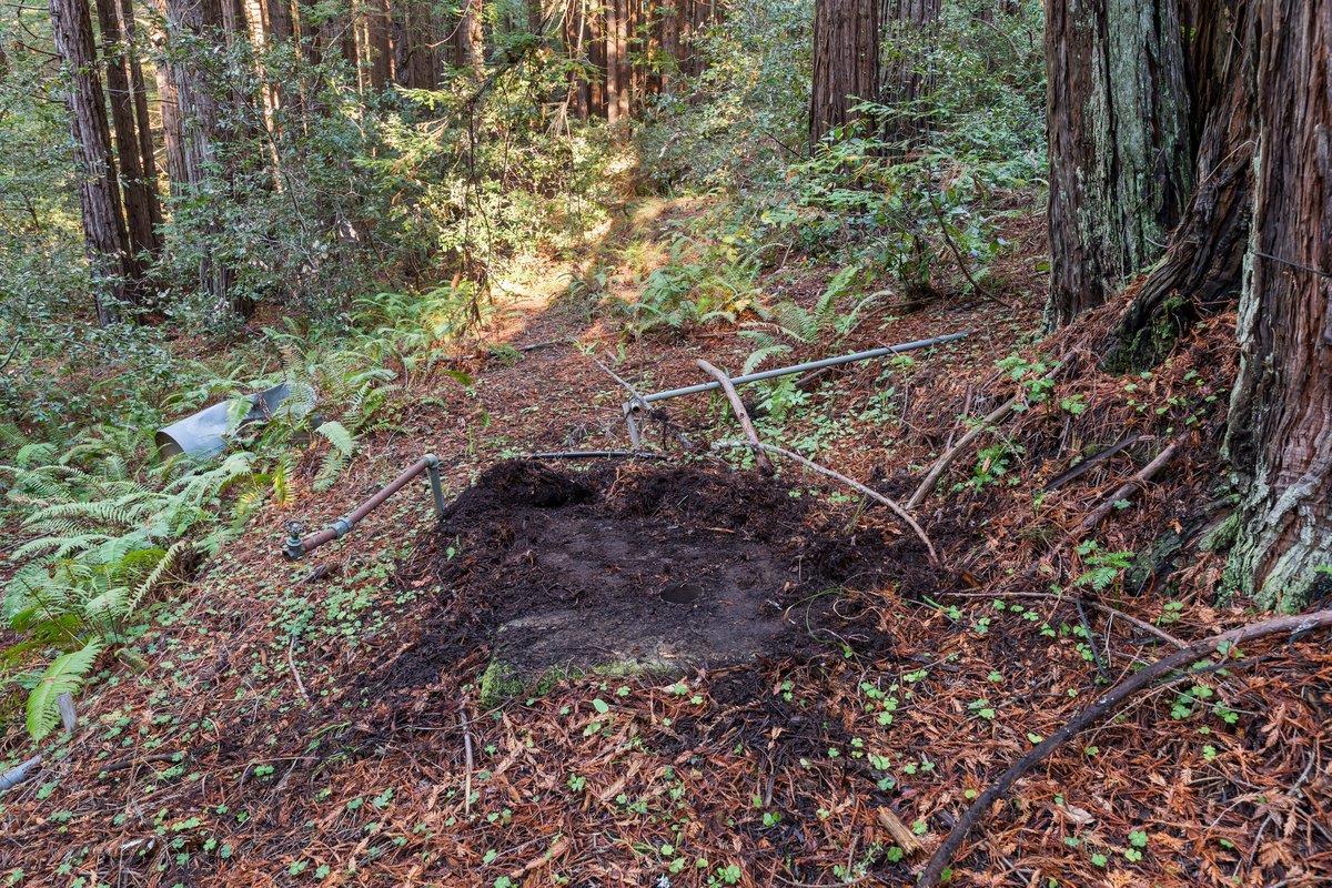 3936 Tunitas Creek Road