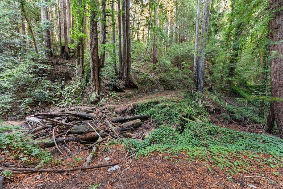 3936 Tunitas Creek Road