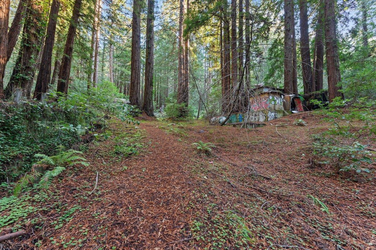 3936 Tunitas Creek Road