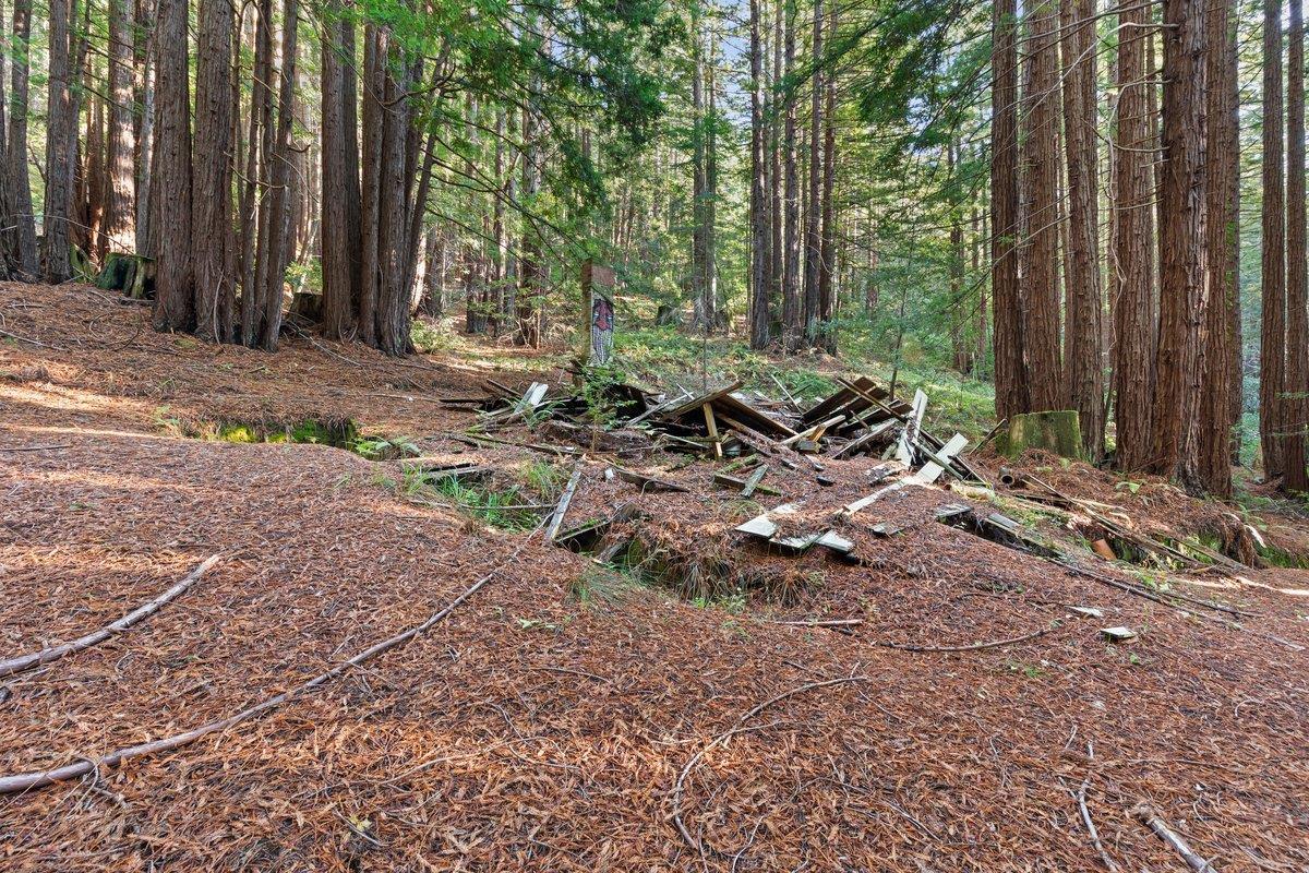 3936 Tunitas Creek Road