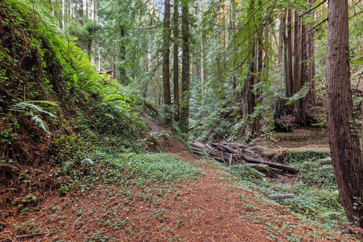 3936 Tunitas Creek Road