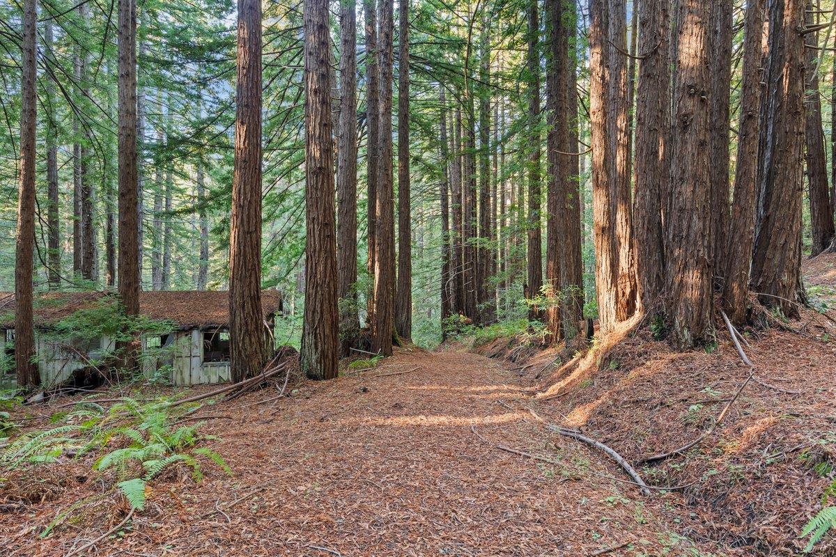 3936 Tunitas Creek Road