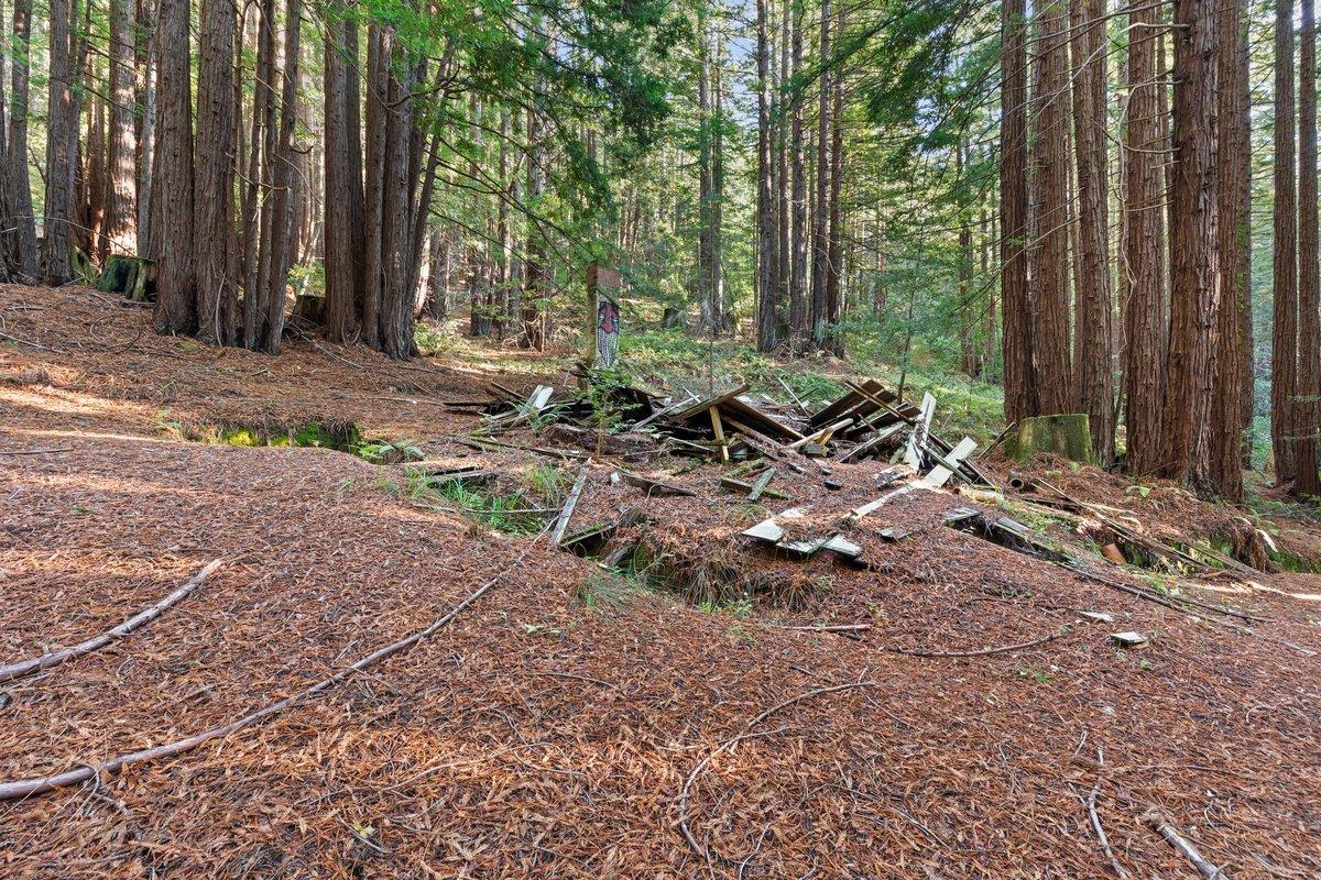 3936 Tunitas Creek Road