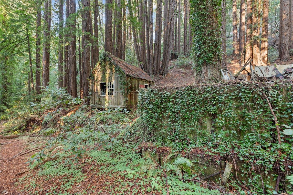 3936 Tunitas Creek Road