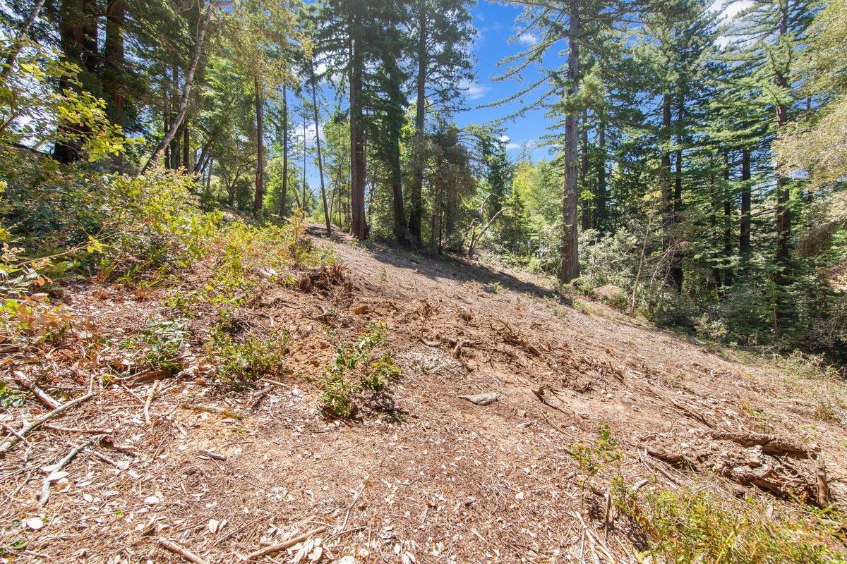 0000 Native Sons Road