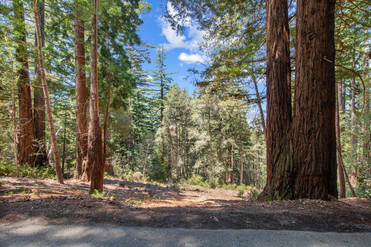 0000 Native Sons Road