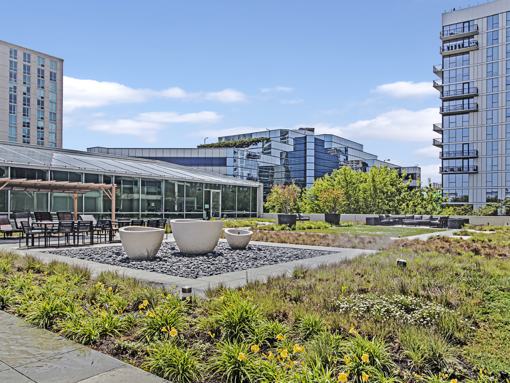 1720 Maple Street Unit: 2030