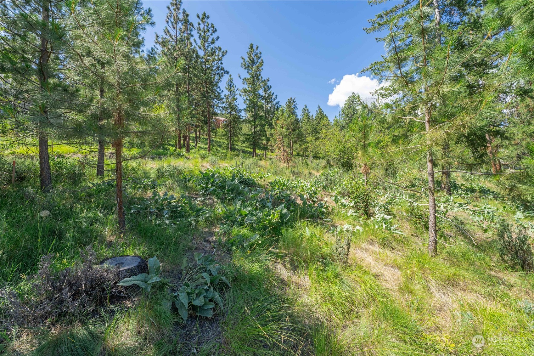 23 Ridgeview Drive