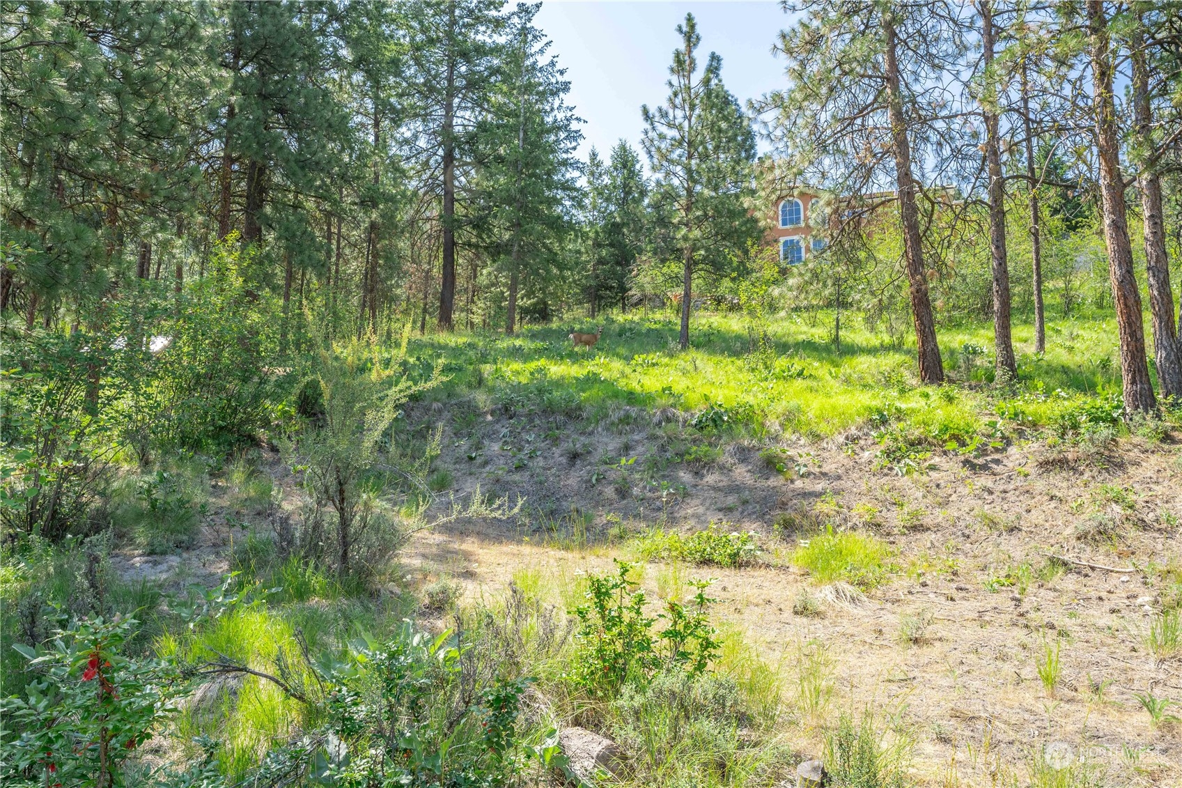 23 Ridgeview Drive