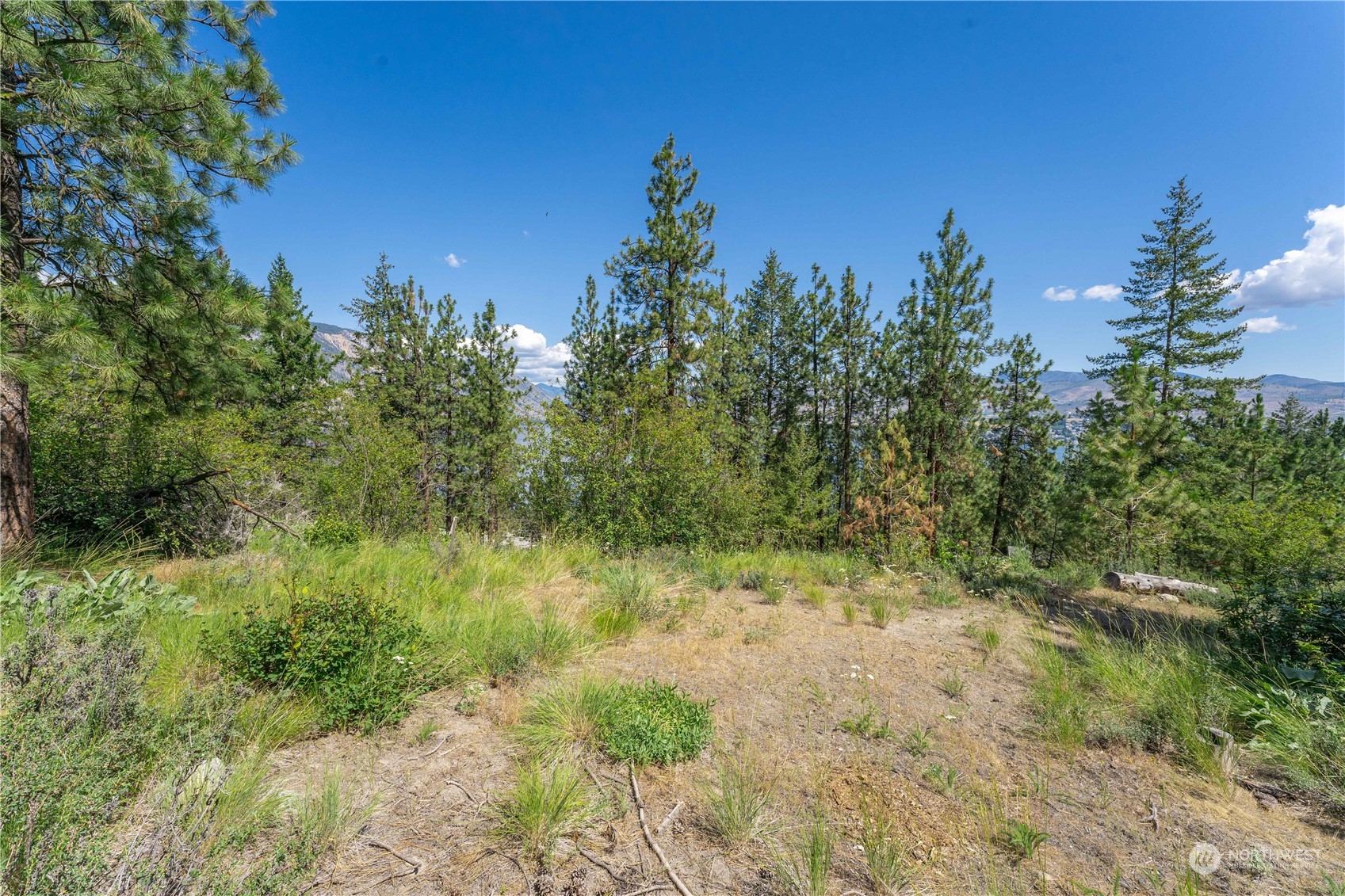 23 Ridgeview Drive