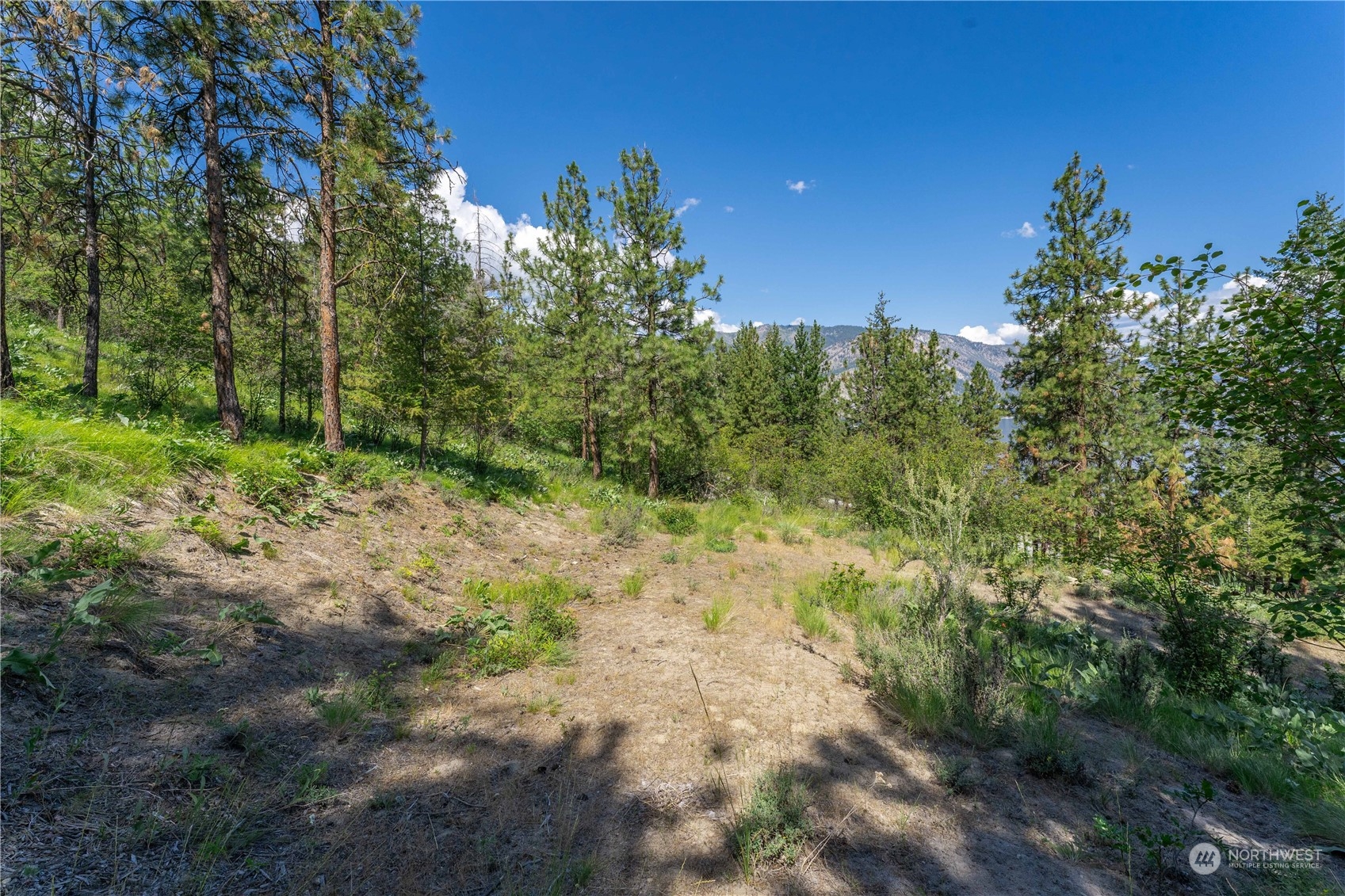 23 Ridgeview Drive