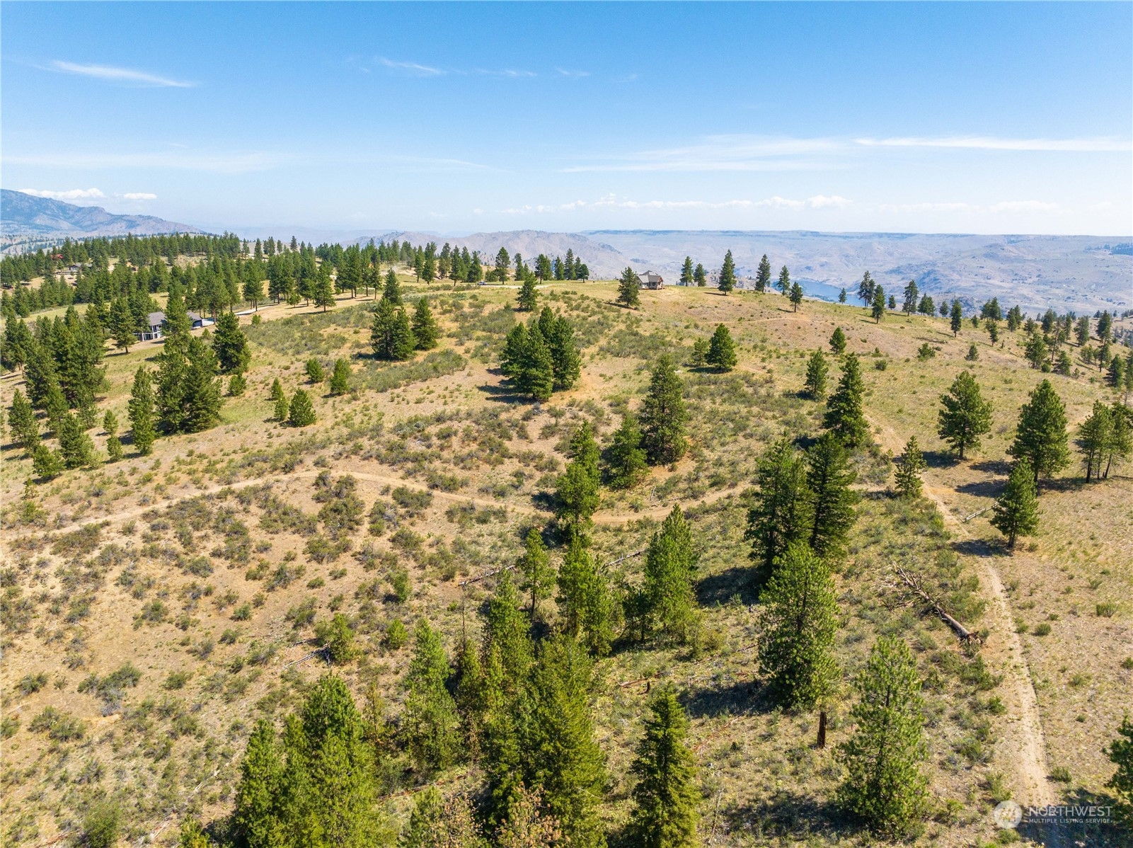 1128 Blazing Star Lane