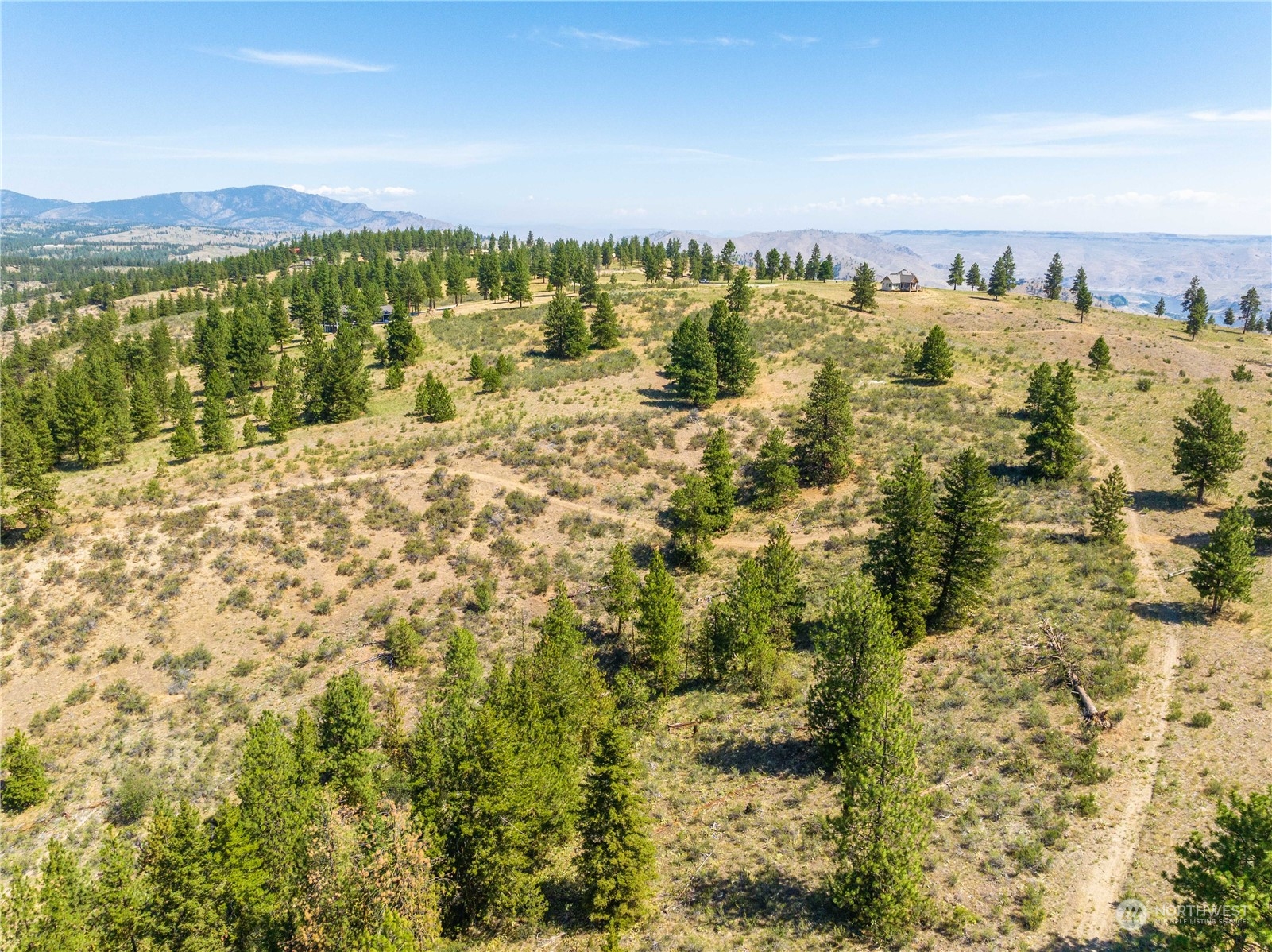 1128 Blazing Star Lane