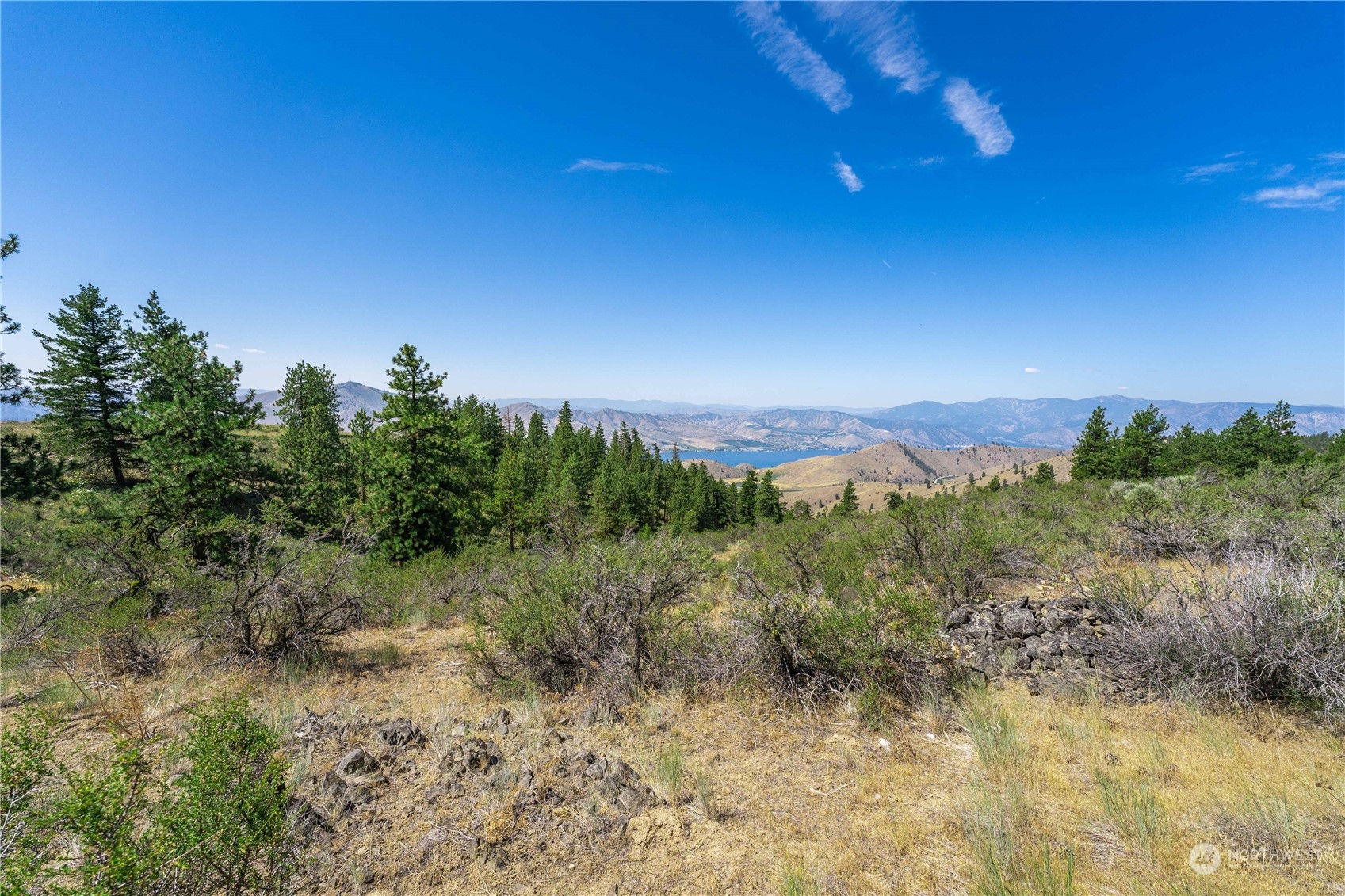 1128 Blazing Star Lane