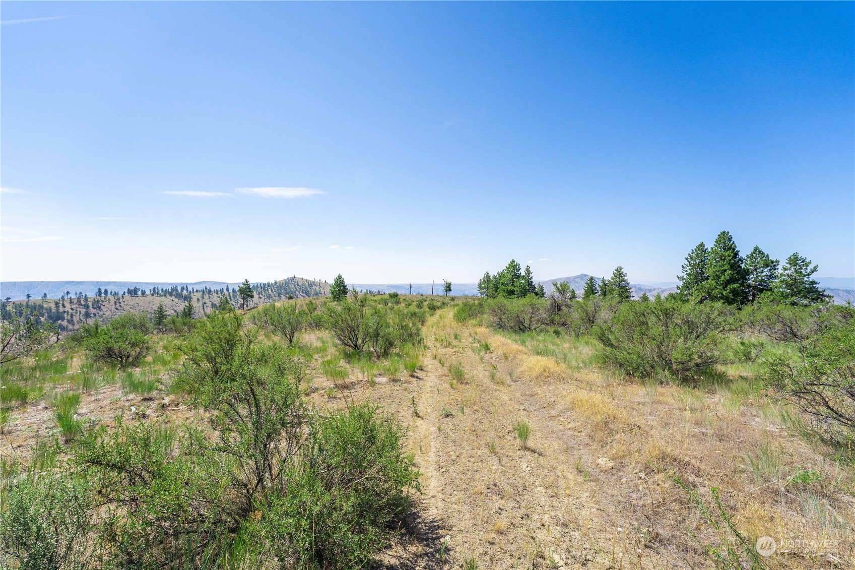 1128 Blazing Star Lane