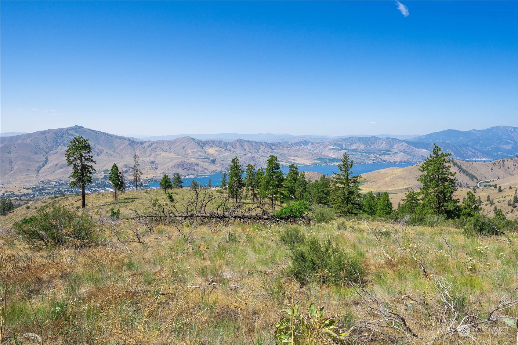 1128 Blazing Star Lane