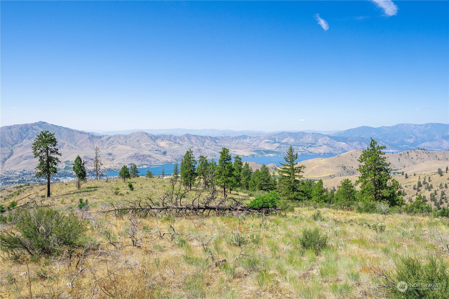 1128 Blazing Star Lane
