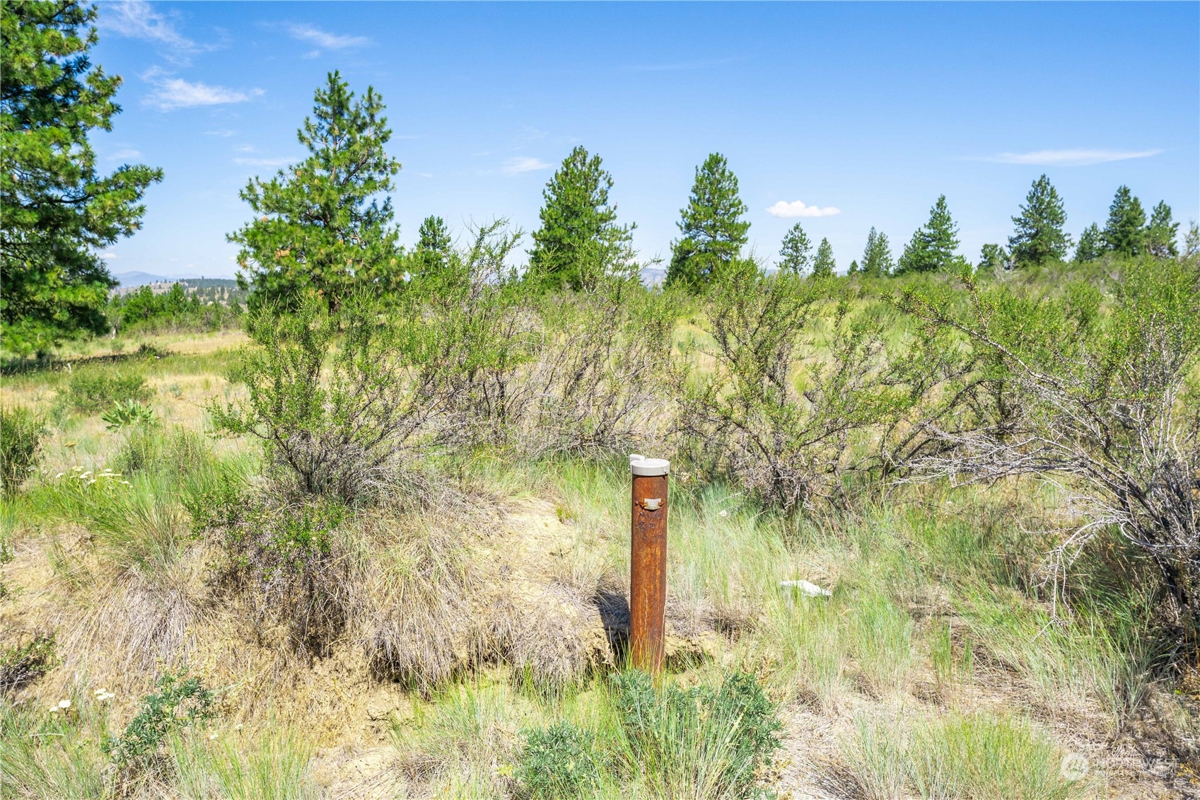 1128 Blazing Star Lane
