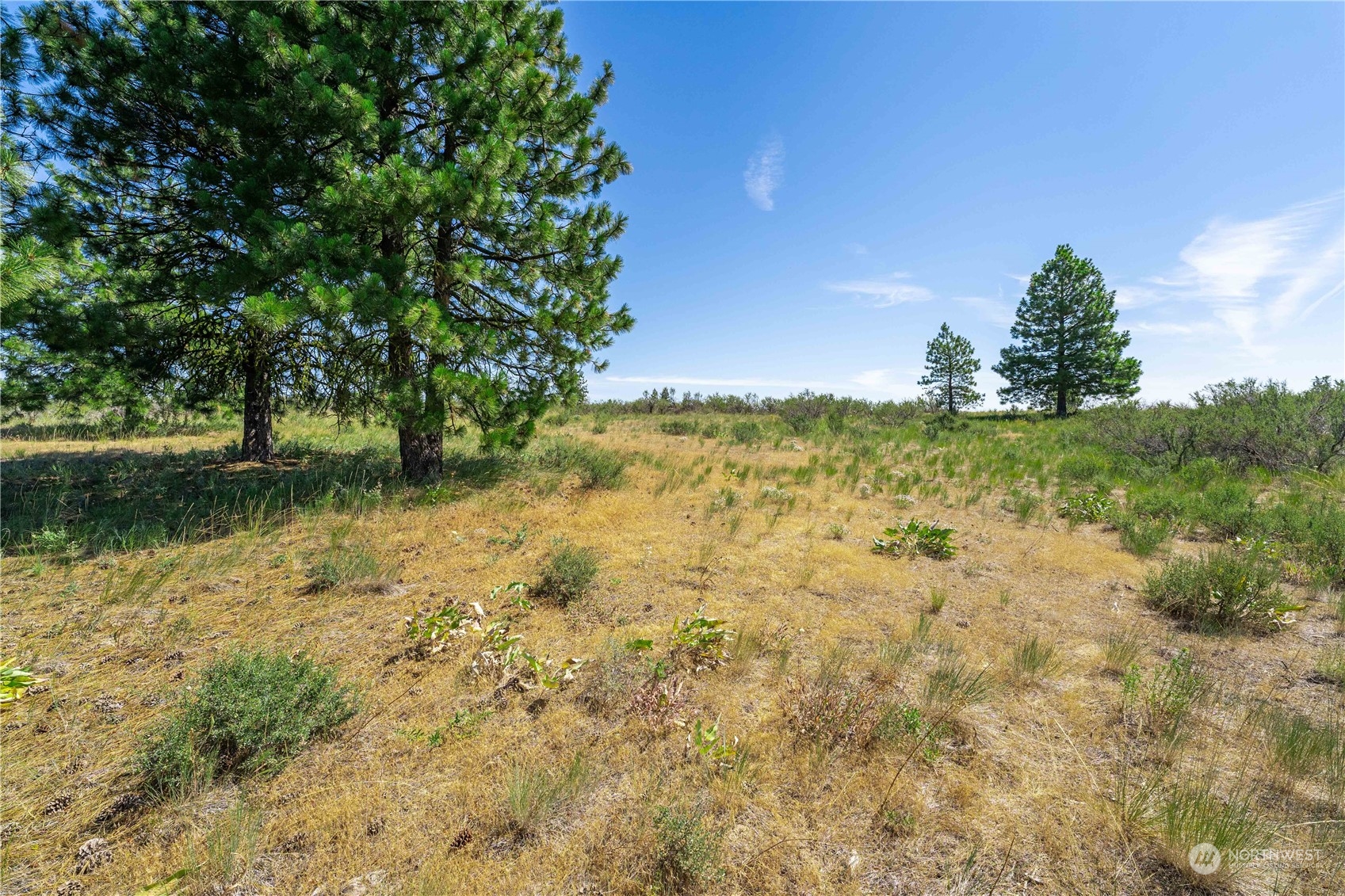 1128 Blazing Star Lane