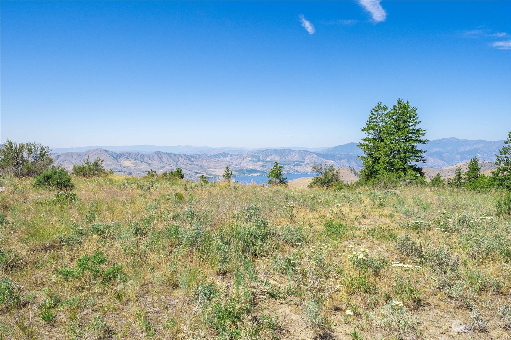 1128 Blazing Star Lane