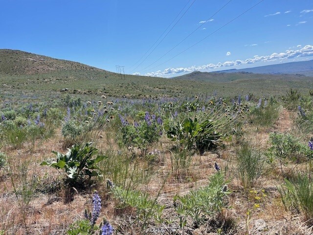 0 Lot 59 Bill Shaw Road