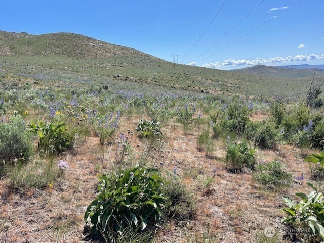 0 Lot 59 Bill Shaw Road