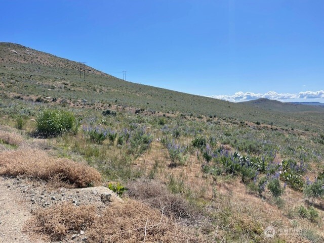 0 Lot 59 Bill Shaw Road