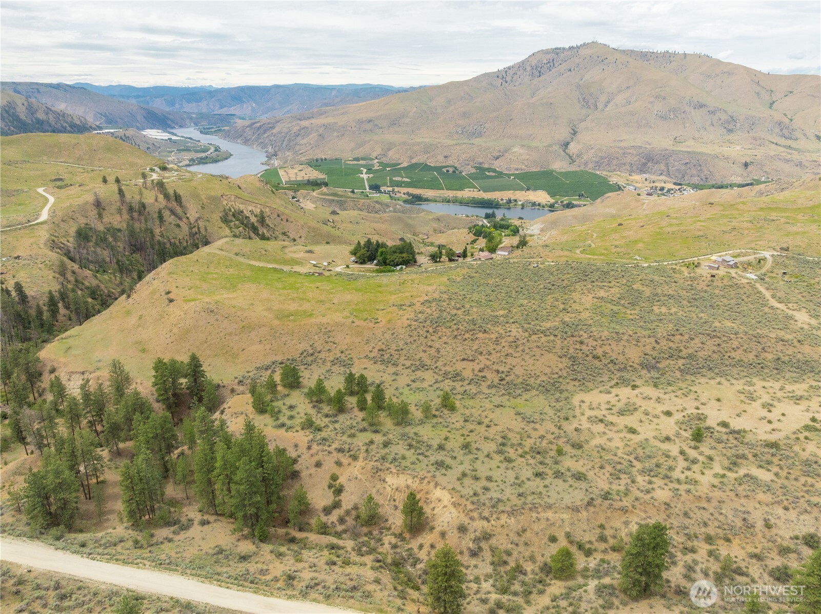 35 Heidi Lane