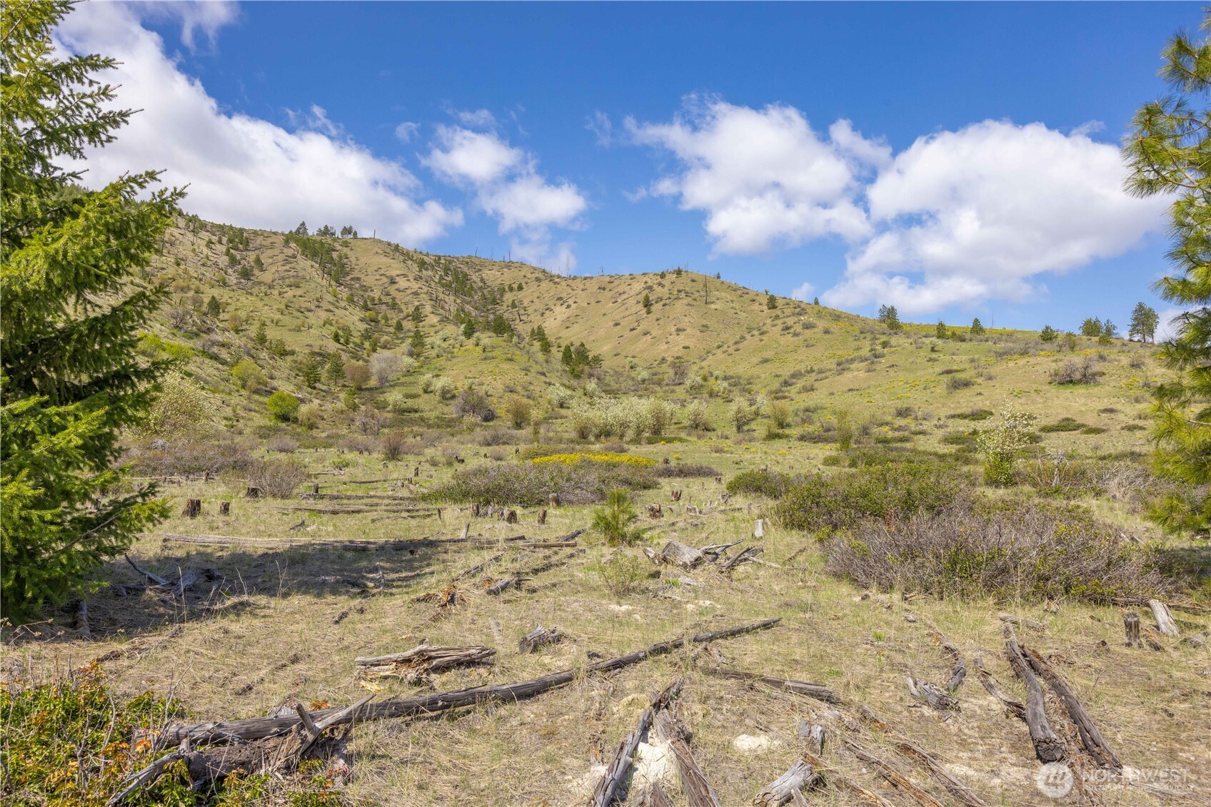 1 Bear Mountain Road