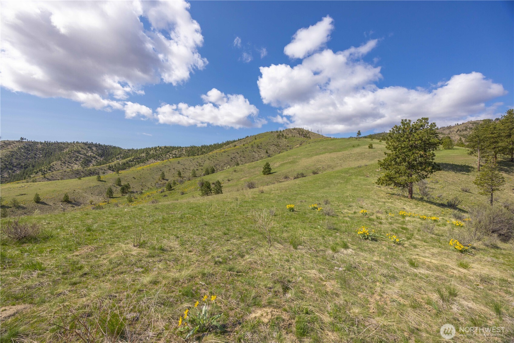 1 Bear Mountain Road