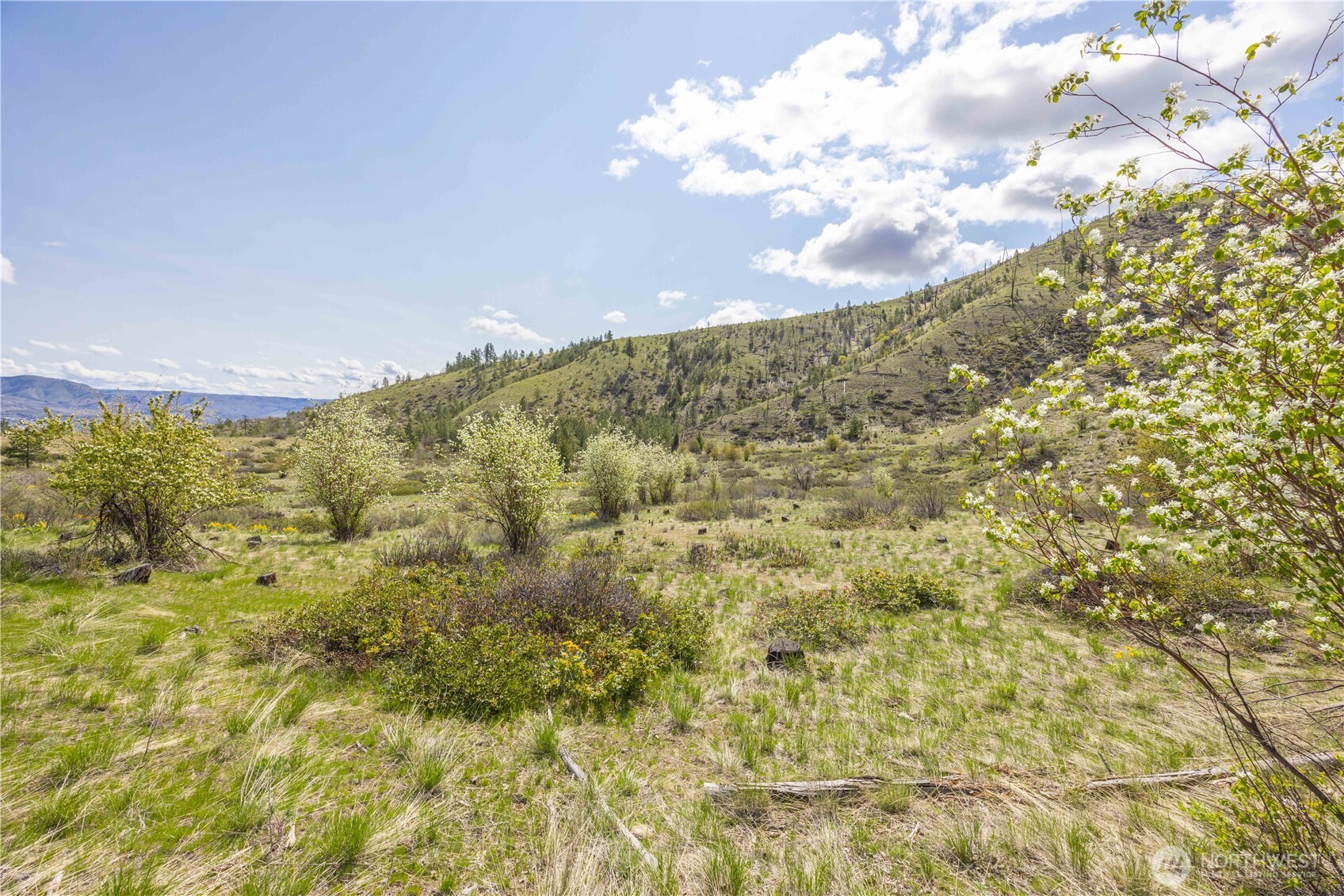 1 Bear Mountain Road