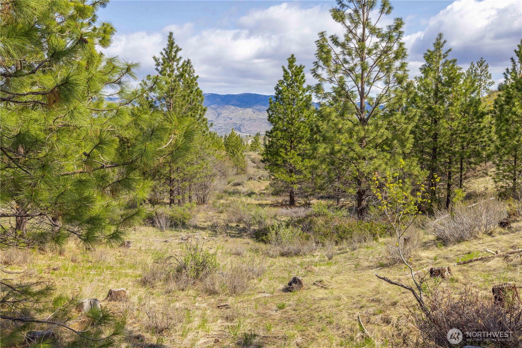 1 Bear Mountain Road