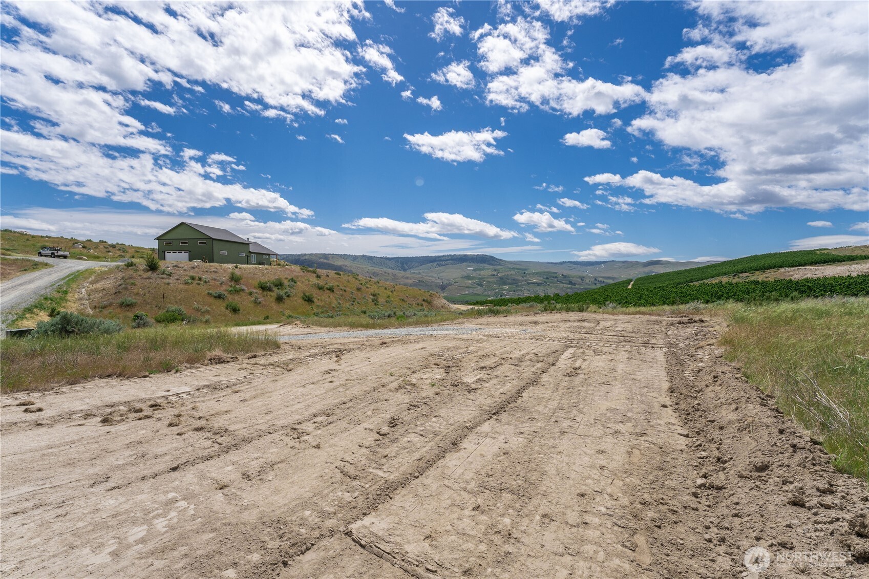 Rural property with a broad dirt driveway, green outbuilding, rolling hills, and vineyard rows.
