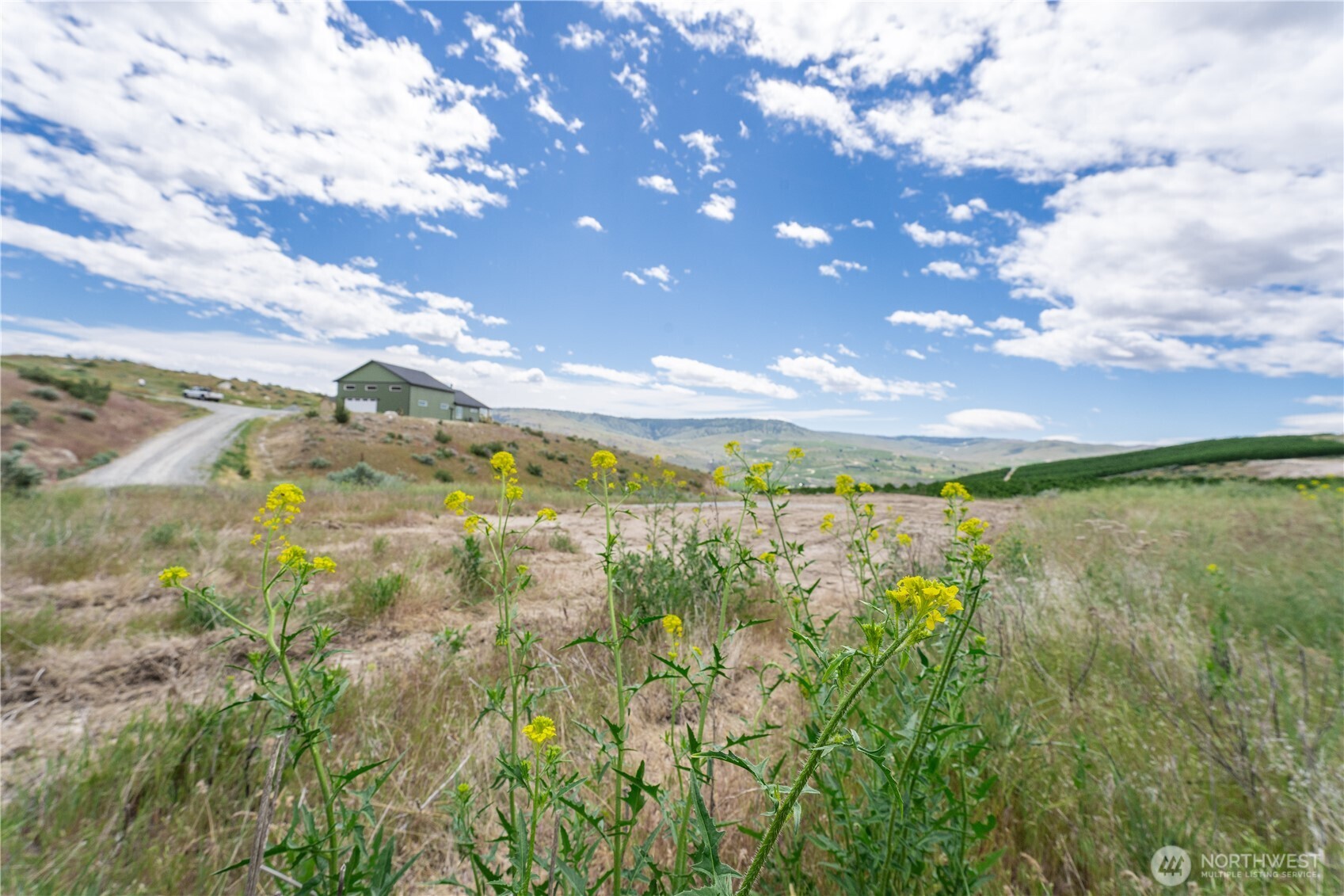 Rural property with yellow wildflowers, a dirt access road, and a green metal outbuilding on a hill.