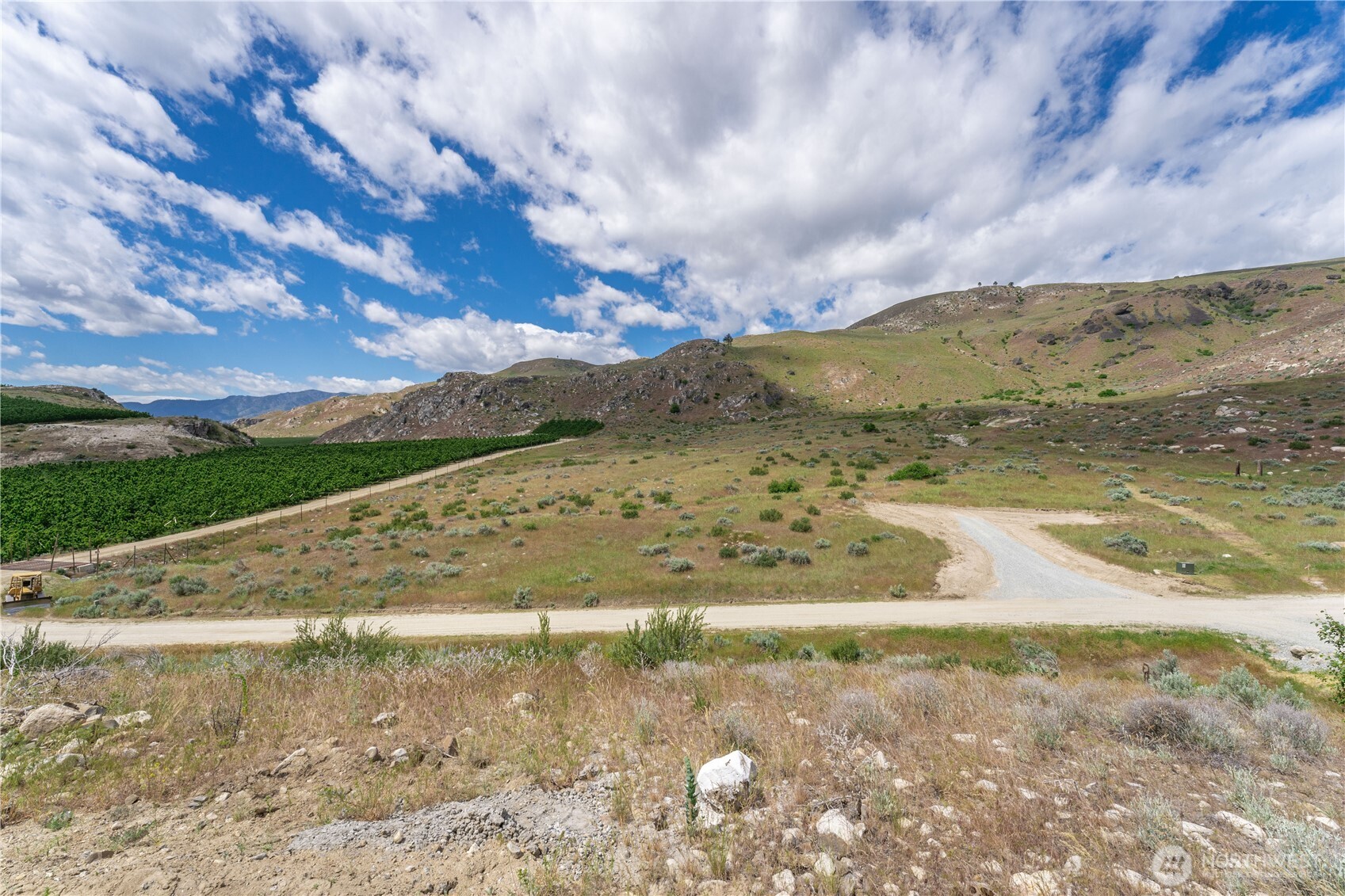 Open rural land with a gravel drive, orchard, and rolling rocky hills.