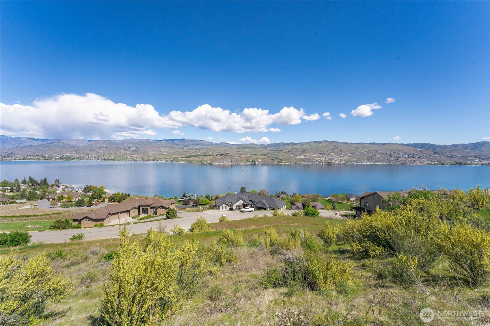 Panoramic lake and mountain view over a lakeside neighborhood, with flowering shrubs in the foreground.