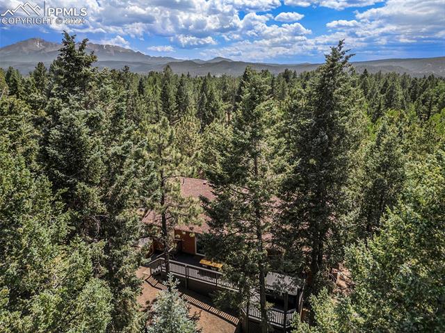 2998 Sunnywood Avenue