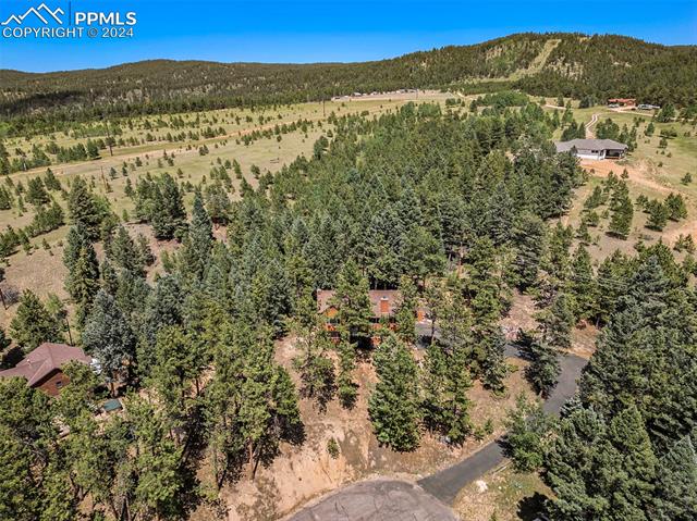 2998 Sunnywood Avenue