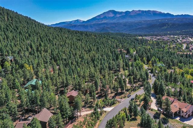 1261 Forest Edge Road