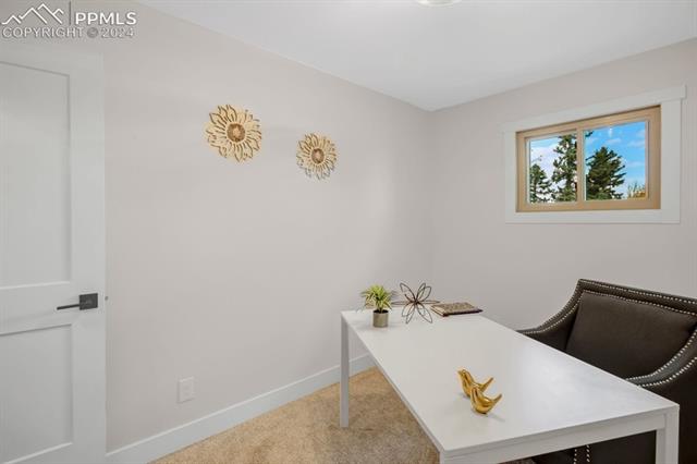 246 Maid Marian Drive