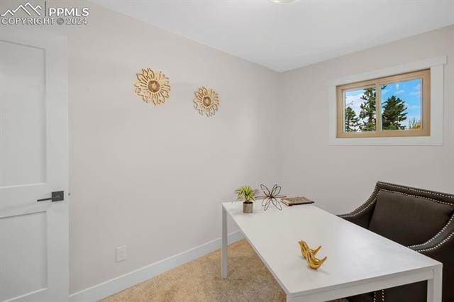 246 Maid Marian Drive