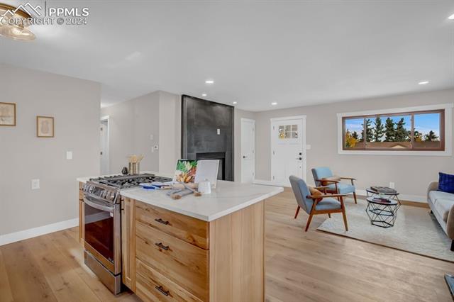 246 Maid Marian Drive