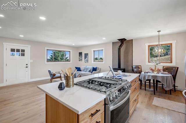 246 Maid Marian Drive