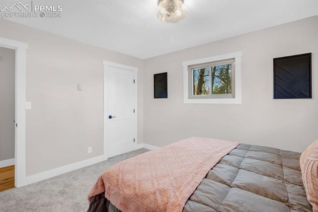 246 Maid Marian Drive