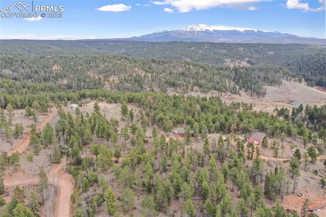 120 Poncha Creek Trail