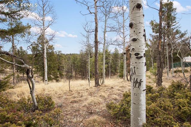 120 Poncha Creek Trail