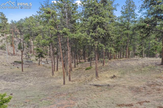 120 Poncha Creek Trail